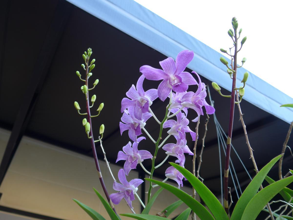 Forum House Hotel Krabi Luaran gambar